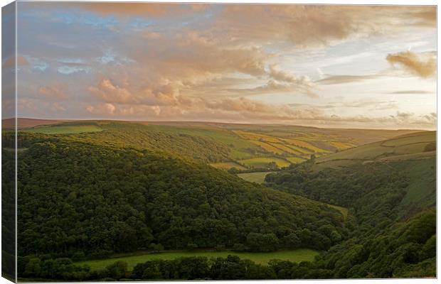 The East Lyn Valley Canvas Print by graham young