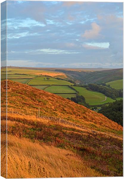 The Colours of Exmoor  Canvas Print by graham young