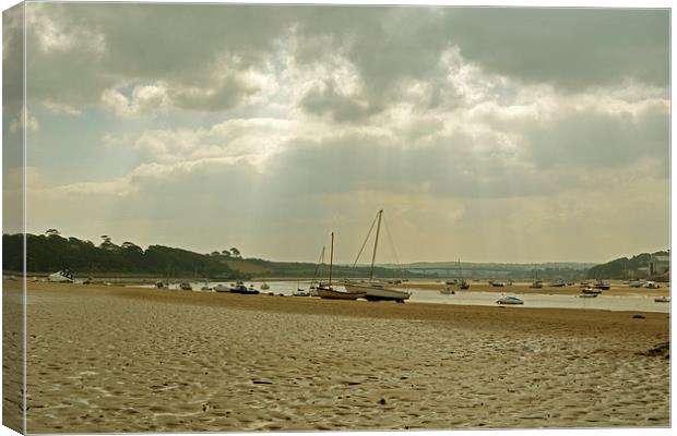  Instow Beach Canvas Print by graham young