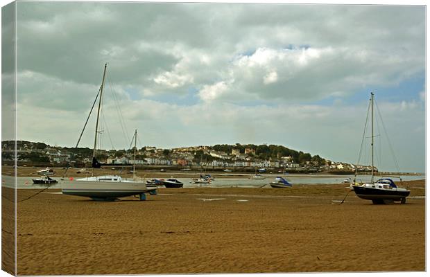 From Instow to Appledore  Canvas Print by graham young
