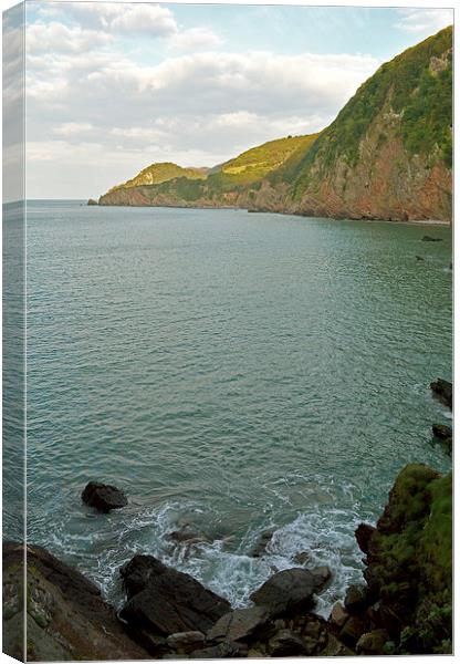 Woody Bay  Canvas Print by graham young