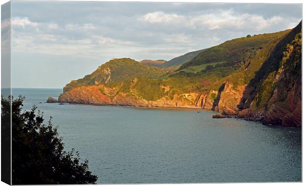 Woody Bay  Canvas Print by graham young