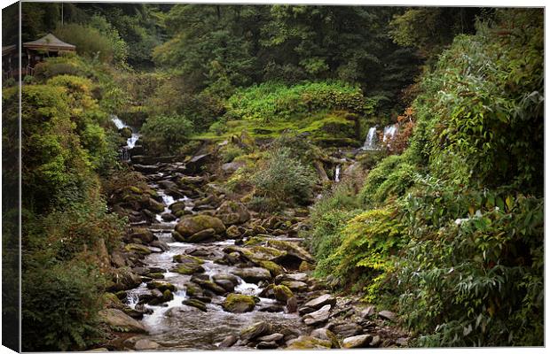Glen Lyn Gorge  Canvas Print by graham young