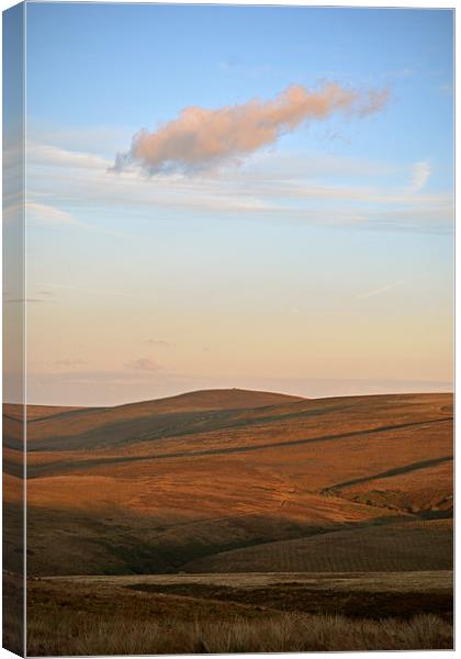 Lone Cloud Over Exmoor  Canvas Print by graham young