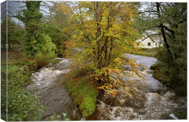  The East Lyn at Brendon in Autumn Canvas Print by graham young