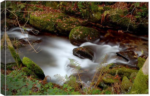  Hoar Oak Water in Autumn Canvas Print by graham young