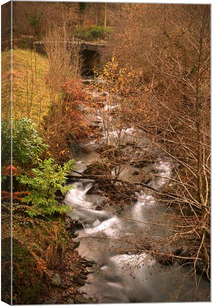 The Old Stone Bridge at Coombe Park  Canvas Print by graham young