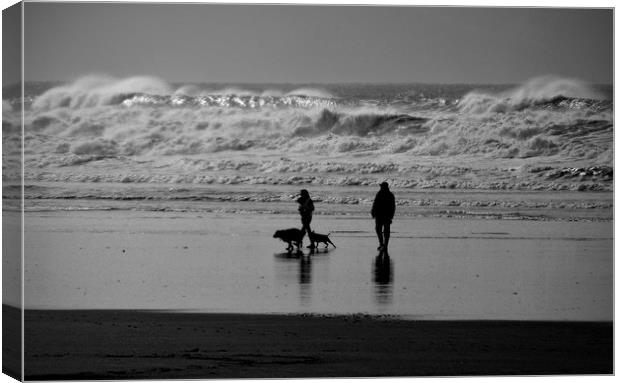 Walking The Dogs at Saunton Sands Canvas Print by graham young