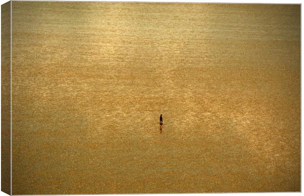 Alone On The Sands Canvas Print by graham young