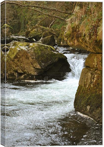 waterfall on the East Lyn River Canvas Print by graham young