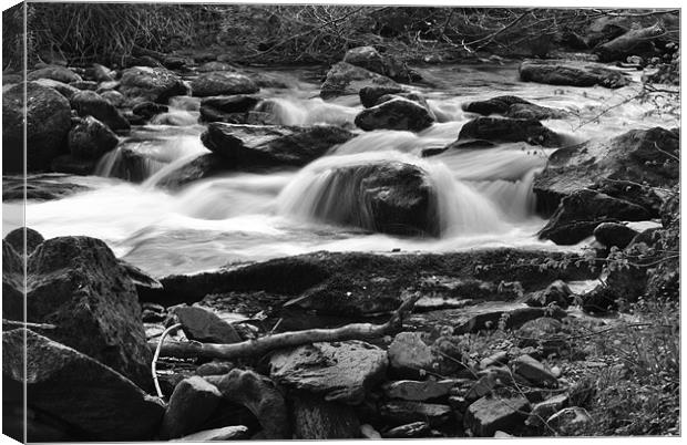 a rocky stream on exmoor b+w Canvas Print by graham young