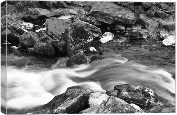 an exmoor stream b+w Canvas Print by graham young