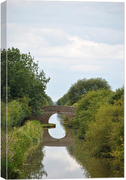 bridge over the aylesbury arm Canvas Print by graham young