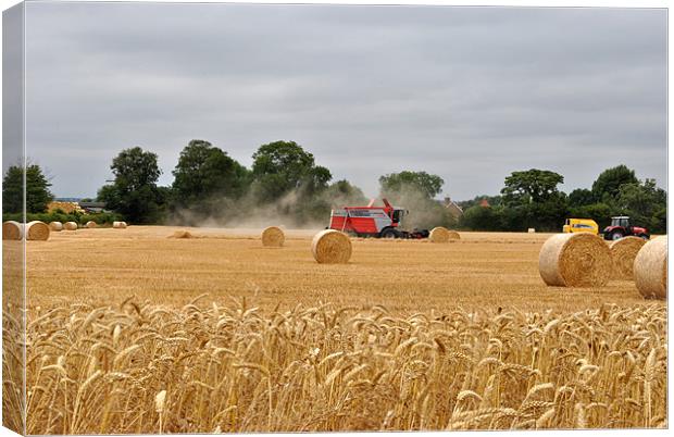 Harvest Time Canvas Print by graham young