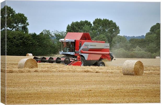 Bringing in the Harvest Canvas Print by graham young