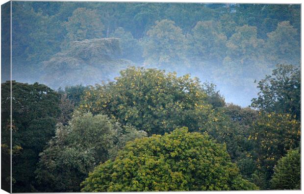 morning mist Canvas Print by graham young