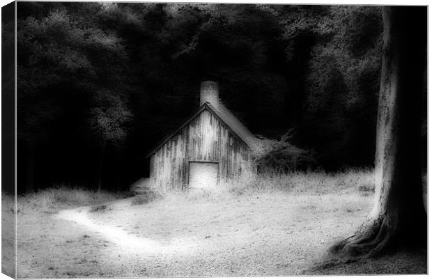 The Log Cabin Canvas Print by graham young