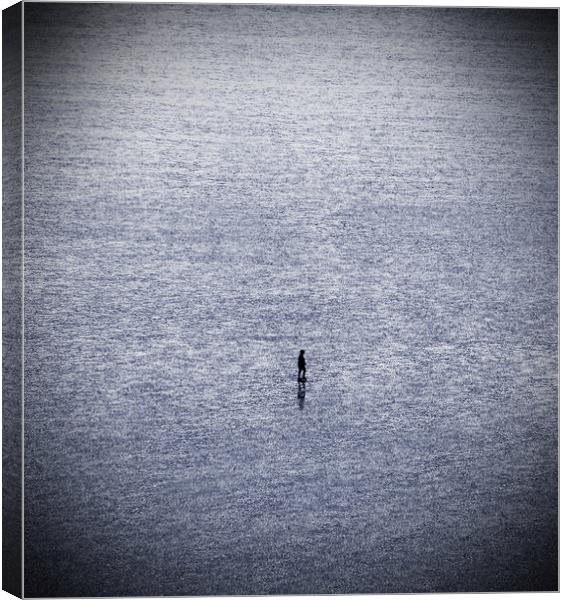 Solitude Canvas Print by graham young
