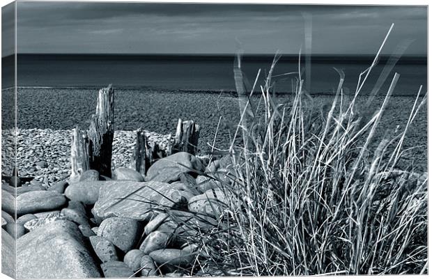 On Porlock Beach Canvas Print by graham young