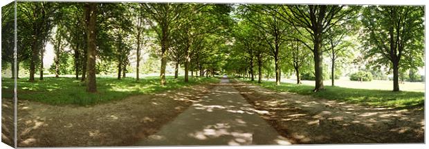 The Avenue, Cassiobury Park, Watford Canvas Print by graham young