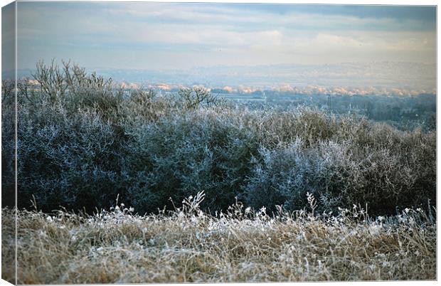 Hoar Frost in the Chiltern Hills Canvas Print by graham young
