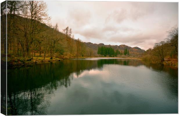 Yew Tree Tarn Canvas Print by graham young