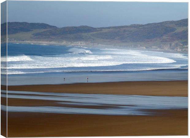 Woolacombe Beach Canvas Print by graham young