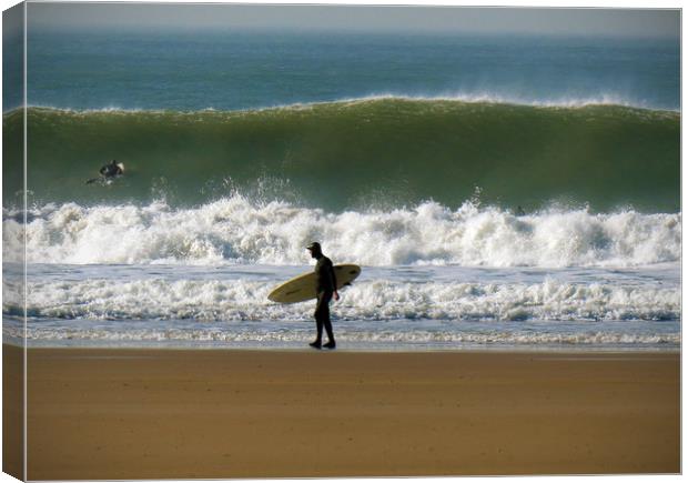 Surf's Up! Canvas Print by graham young