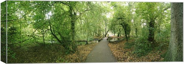A Woodland Walk in Cassiobury Park Canvas Print by graham young
