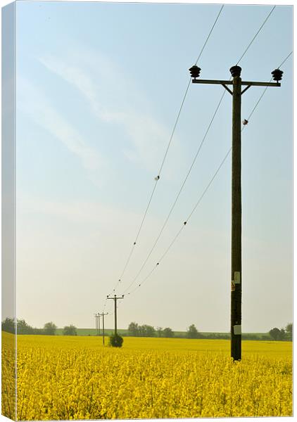 Rape Field With Telegraph Poles Canvas Print by graham young