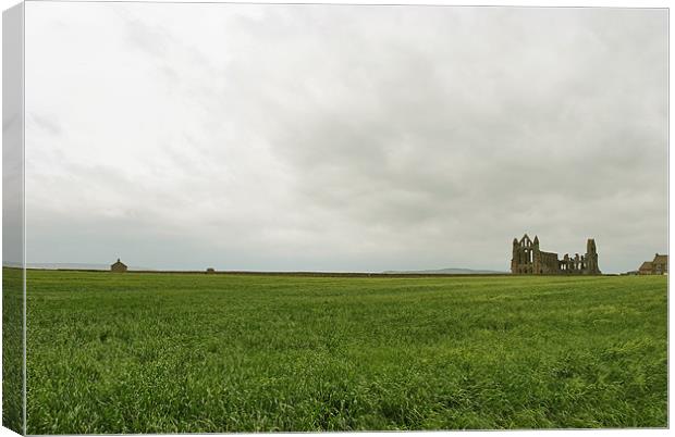 Whitby Abbey Canvas Print by graham young