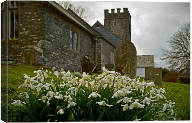 Snowdrops at Oare Church Canvas Print by graham young