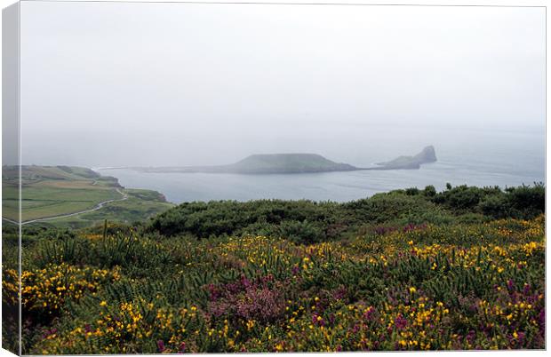 Worm's Head with Heather & Gorse - Gower Canvas Print by Steve Strong