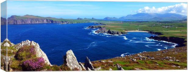 View from Clogher Head Canvas Print by Steve Strong