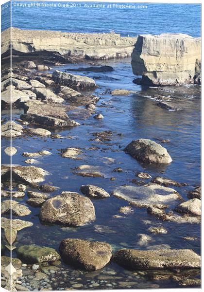 Rocky Coastline Canvas Print by Nicola Clark