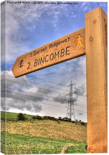 Countryside Sign Post Canvas Print by Nicola Clark