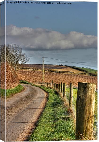 Country Lane Canvas Print by Nicola Clark