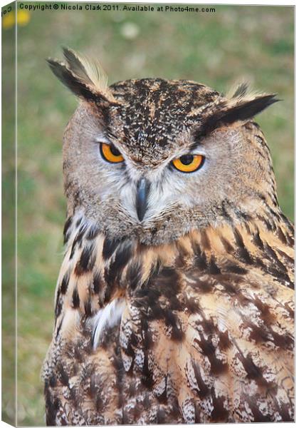 European Eagle Owl Canvas Print by Nicola Clark