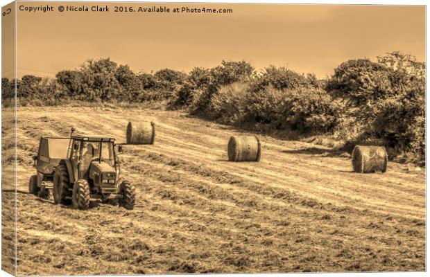 Hay Making Canvas Print by Nicola Clark