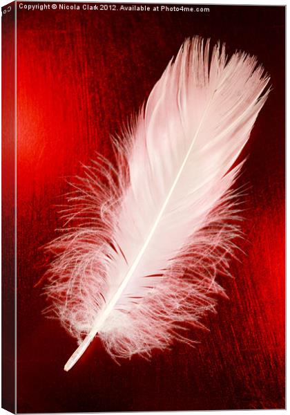 White Feather Canvas Print by Nicola Clark