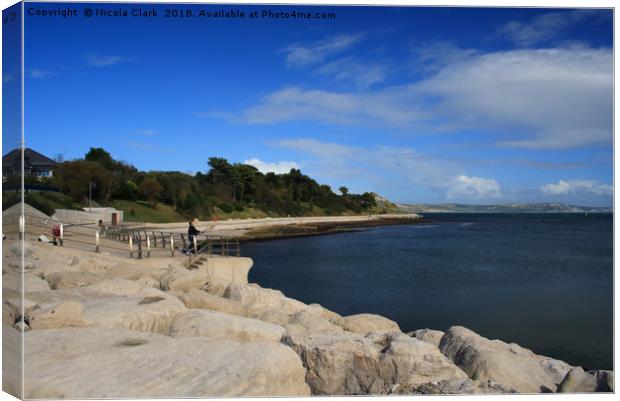 Newtons Cove Canvas Print by Nicola Clark