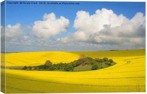 Field of Gold Canvas Print by Nicola Clark