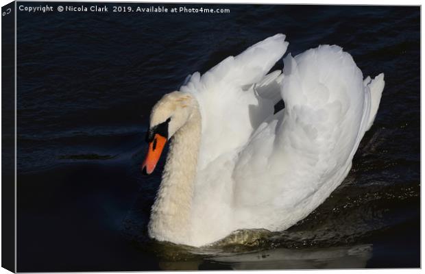 White Swan Canvas Print by Nicola Clark