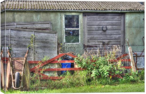 Old Rural Shed Canvas Print by Nicola Clark