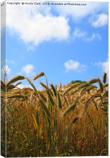 Wheat In The Sun Canvas Print by Nicola Clark