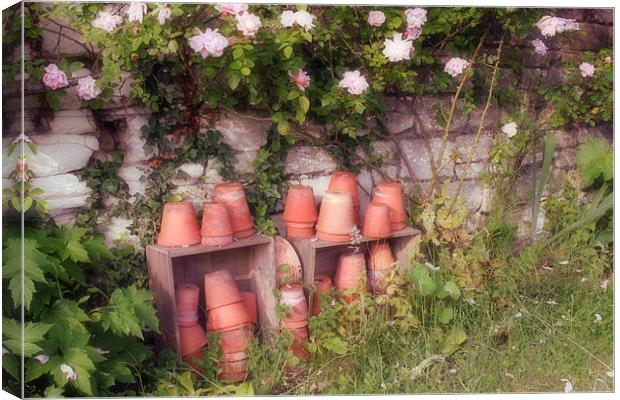 Old Terracotta Flower Pots Canvas Print by Nicola Clark
