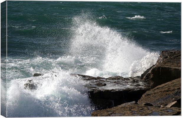 Crashing Waves Canvas Print by Nicola Clark