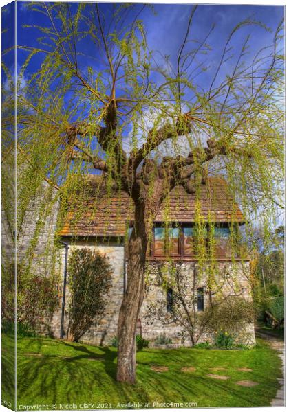 Majestic Weeping Willow Canvas Print by Nicola Clark