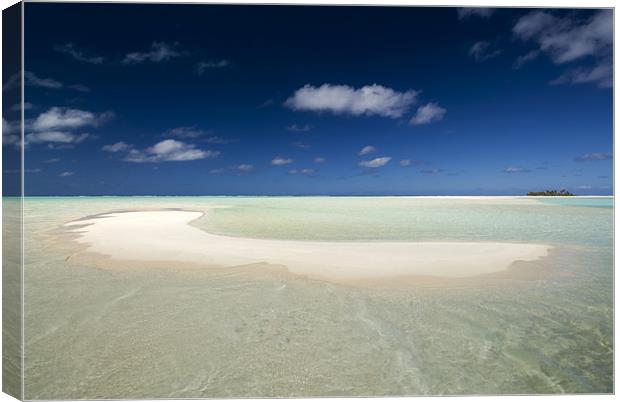The Beach - Aitutaki Canvas Print by Michael Treloar