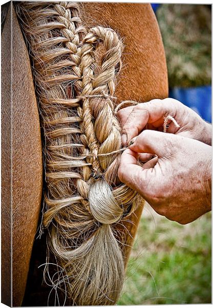 Plaiting A Work Of Art Canvas Print by tony golding